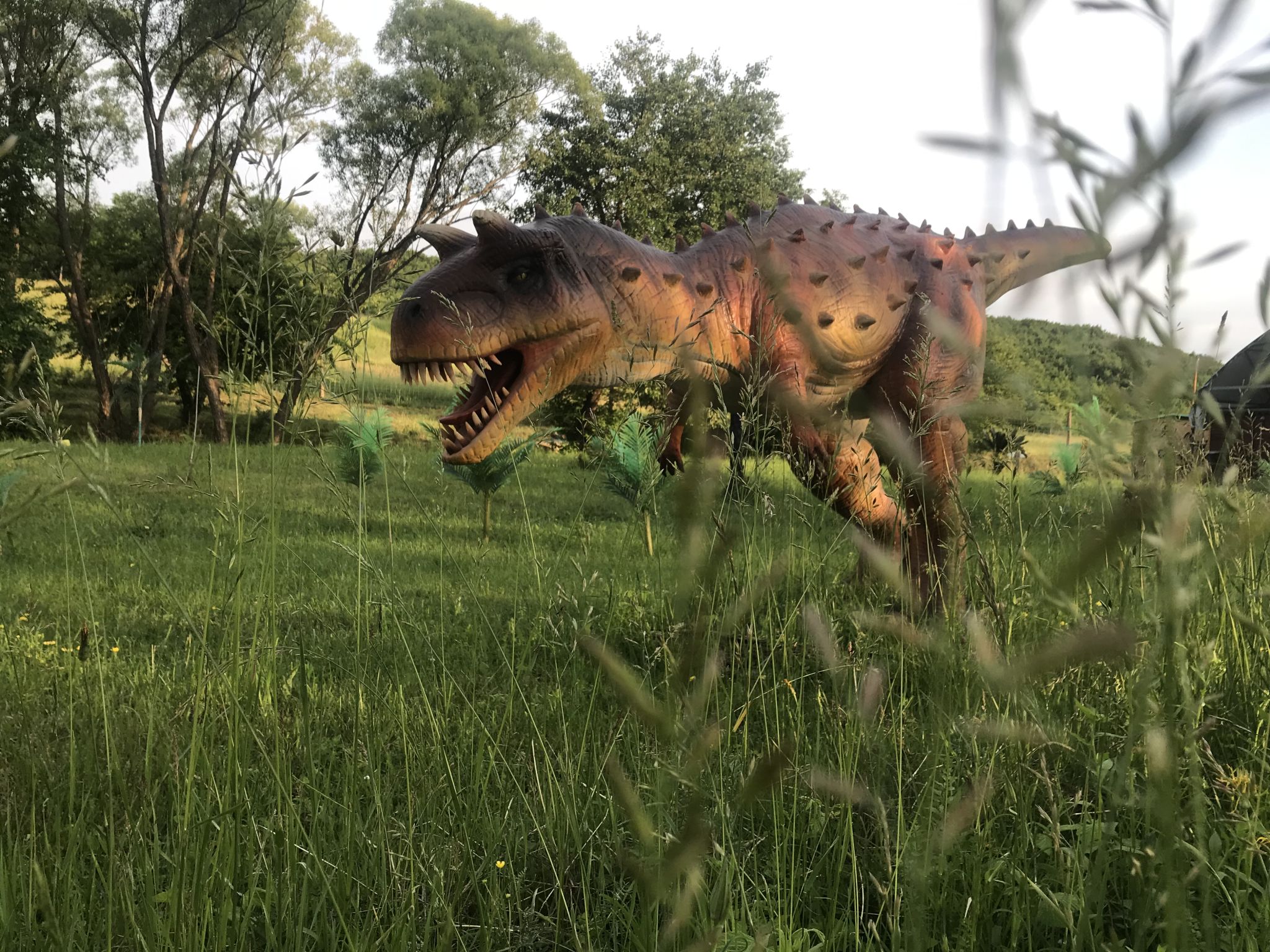 Dínó Park Orgovány - Carnotaurus
