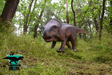 Protoceratops